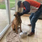 Groomzo Professionele 15-Delige Verzorgingsset - Zuigen & Trimmen - Fluisterstil - Hond & Kat photo review